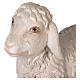 Schaf aus Kunstharz für 100-150 cm Krippe s2