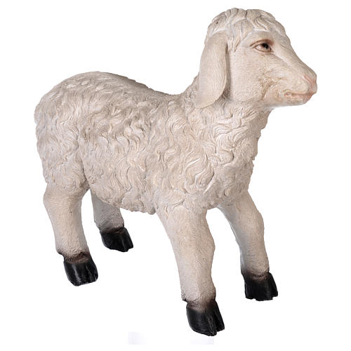 Sheep in resin for 100-150 cm nativity scene 3