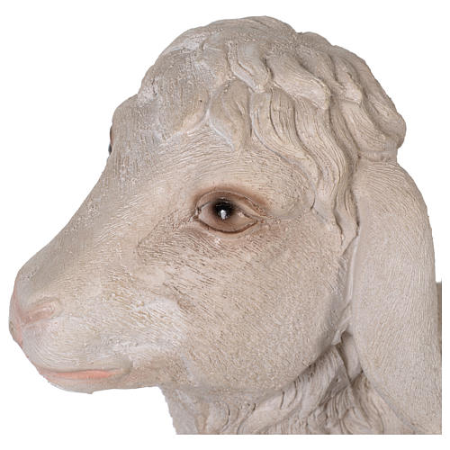 Sheep in resin for 100-150 cm nativity scene 4