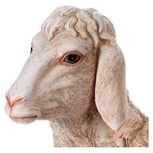Sheep in resin for Nativity Scene 120-160 cm 2