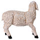 Sheep in resin for Nativity Scene 120-160 cm s3