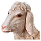 Owca żywica do szopki 120-160 cm s2