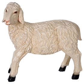 Sheep in resin for 140-160 cm nativity scene
