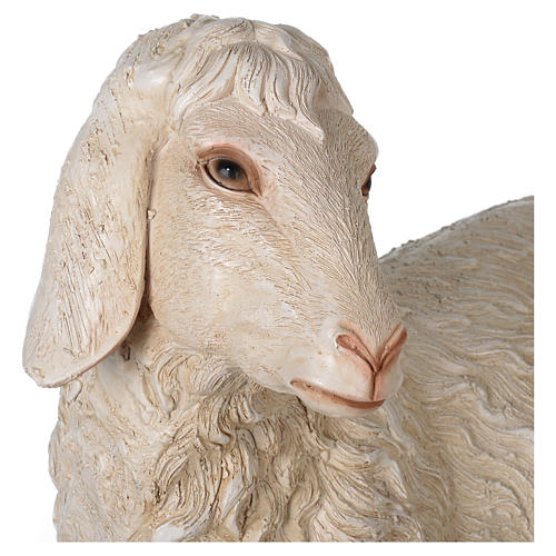 Sheep in resin for 140-160 cm nativity scene 2