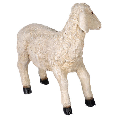 Sheep in resin for 140-160 cm nativity scene 5