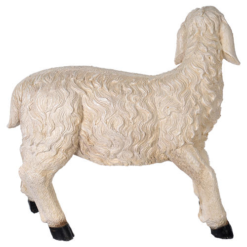 Sheep in resin for 140-160 cm nativity scene 7
