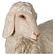 Sheep in resin for 140-160 cm nativity scene s2