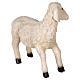 Sheep in resin for 140-160 cm nativity scene s5
