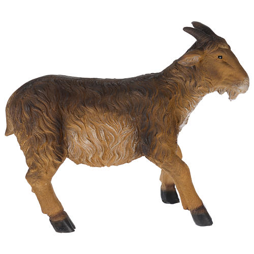 Cabra resina 57 cm para presépio com figuras de altura média 120-160 cm 1