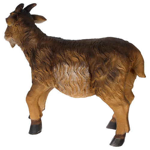Cabra resina 57 cm para presépio com figuras de altura média 120-160 cm 6