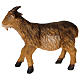 Cabra resina 57 cm para presépio com figuras de altura média 120-160 cm s3