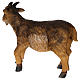 Cabra resina 57 cm para presépio com figuras de altura média 120-160 cm s6