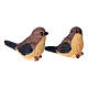 Set coppia di uccelli per presepe 10-12 cm in resina dipinta s1