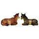 Boi e burro resina corada para presépio com figuras 25-30 cm altura média s1