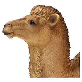 Brown camel in colored resin, for 30-40 cm nativity