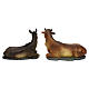 Donkey and ox figurine, in colored resin for 42 cm nativity s4