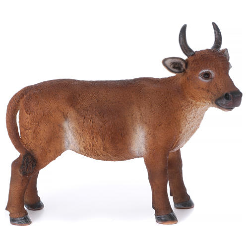 Brown ox figurine, in colored resin for 60-80 cm nativity 1