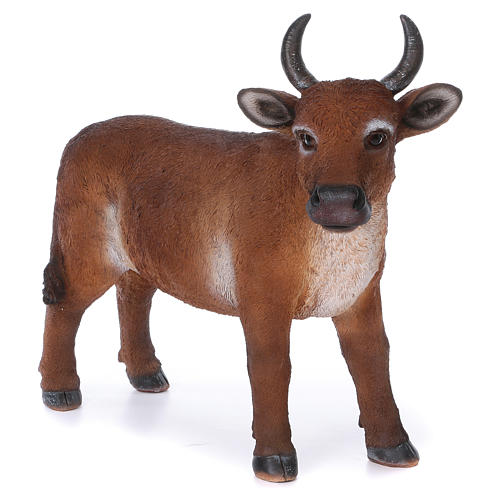 Brown ox figurine, in colored resin for 60-80 cm nativity 4