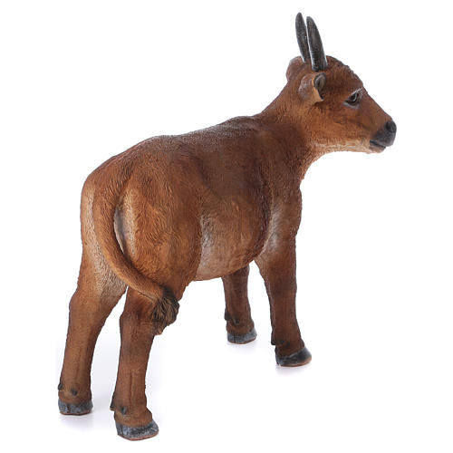 Brown ox figurine, in colored resin for 60-80 cm nativity 5