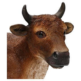 Standing brown ox, in colored resin, for 40-50 cm nativity