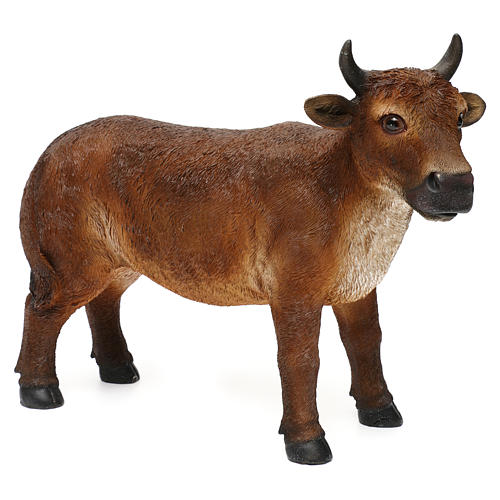 Standing brown ox, in colored resin, for 40-50 cm nativity 4