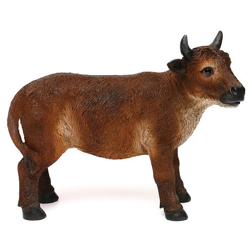 Nativity ox, in colored resin, for 30-38 cm nativity 1