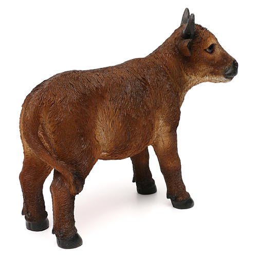 Nativity ox, in colored resin, for 30-38 cm nativity 5