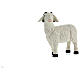 Set 3 moutons avec bélier résine colorée pour crèche 25-30 cm s3