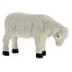 Set 3 moutons avec bélier résine colorée pour crèche 25-30 cm s5