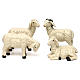Conjunto 3 ovelhas com carneiro resina corada para presépio com peças 25-30 cm altura média