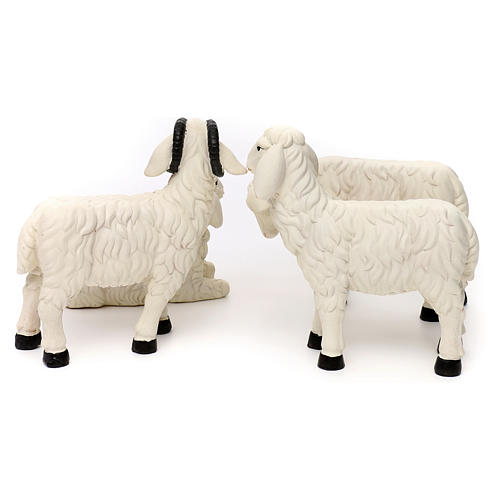 Set 3 Schafe und ein Bock aus bemaltem Kunstharz für 35-40 cm Krippe 6