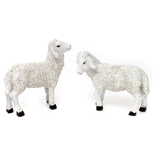 Set 7 Schafe und ein Bock aus bemaltem Kunstharz für 25-30 cm Krippe 2