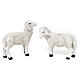 Set 7 Schafe und ein Bock aus bemaltem Kunstharz für 25-30 cm Krippe s2