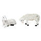 Set 7 Schafe und ein Bock aus bemaltem Kunstharz für 25-30 cm Krippe s3