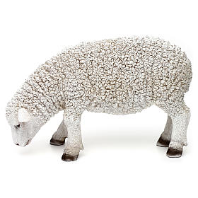 Schaf mit gebeugtem Kopf aus bemaltem Kunstharz für 60-80 cm Krippe