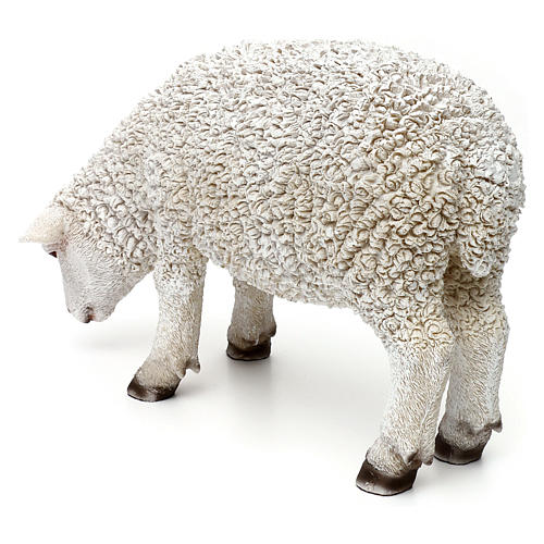 Schaf mit gebeugtem Kopf aus bemaltem Kunstharz für 60-80 cm Krippe 4