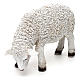 Schaf mit gebeugtem Kopf aus bemaltem Kunstharz für 60-80 cm Krippe s2