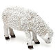 Schaf mit gebeugtem Kopf aus bemaltem Kunstharz für 60-80 cm Krippe s3