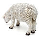 Schaf mit gebeugtem Kopf aus bemaltem Kunstharz für 60-80 cm Krippe s4