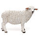 Schaf, den Kopf nach rechts gewandt aus bemaltem Kunstharz für 60-80 cm Krippe s1