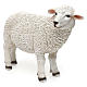 Schaf, den Kopf nach rechts gewandt aus bemaltem Kunstharz für 60-80 cm Krippe s2
