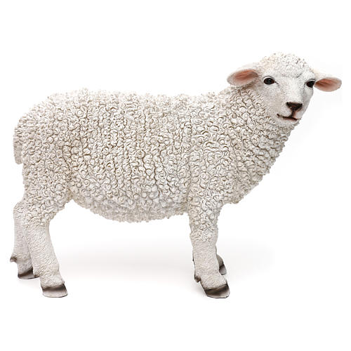 Woolly sheep looking right, in colored resin for 60-80 cm nativity 1
