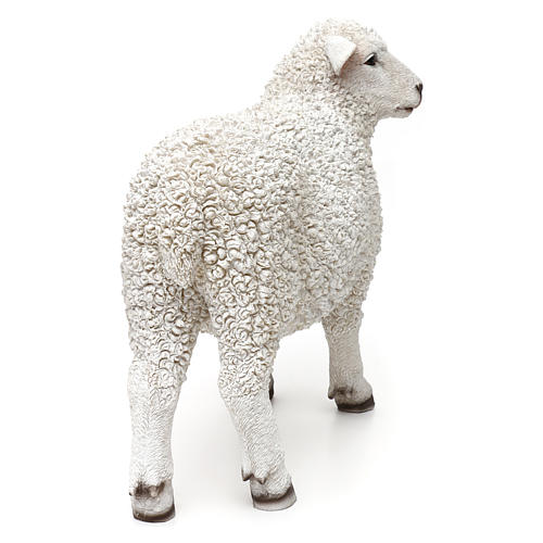 Woolly sheep looking right, in colored resin for 60-80 cm nativity 4