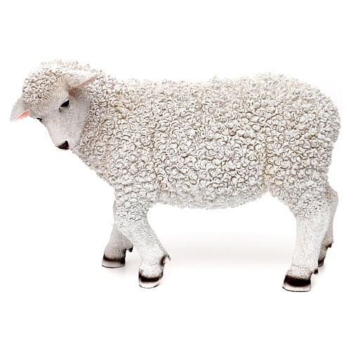 Schaf, den Kopf nach links gewandt aus bemaltem Kunstharz für 60-80 cm Krippe 1