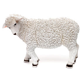 Woolly sheep looking left, in colored resin for 60-80 cm nativity