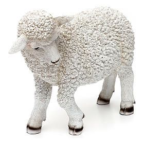 Woolly sheep looking left, in colored resin for 60-80 cm nativity