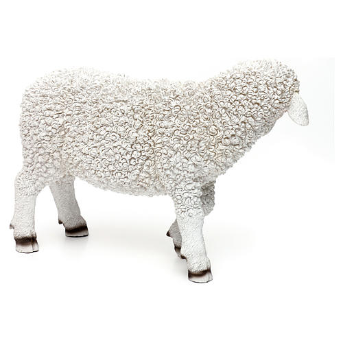 Woolly sheep looking left, in colored resin for 60-80 cm nativity 3