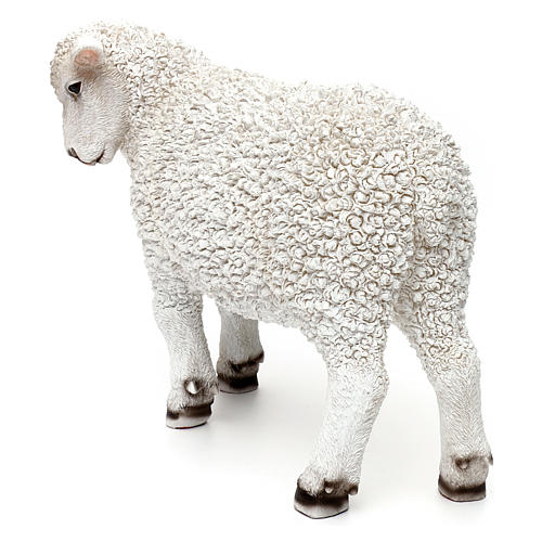 Woolly sheep looking left, in colored resin for 60-80 cm nativity 4