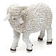 Woolly sheep looking left, in colored resin for 60-80 cm nativity s2