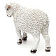 Woolly sheep looking left, in colored resin for 60-80 cm nativity s4